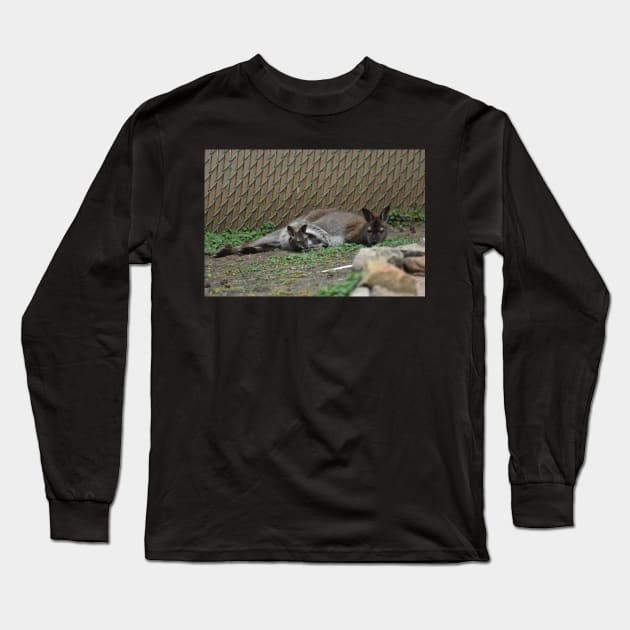 Wallaby and Joey Long Sleeve T-Shirt by MarieDarcy